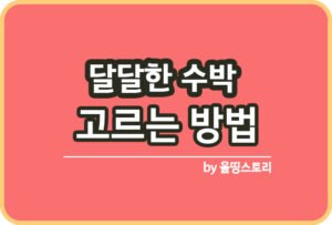 복분자 효능 복분자요리레시피 복분자고르는방법_썸네일