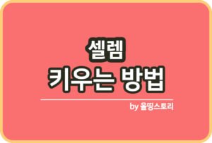 스투키 키우는방법 스투키물주기 스투키분갈이_썸네일