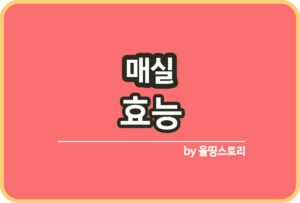 블루베리 효능 블루베리요리 블루베리적정섭취량_썸네일
