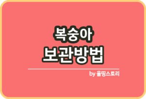 매실 효능 매실청담그는방법 매실섭취방법_썸네일