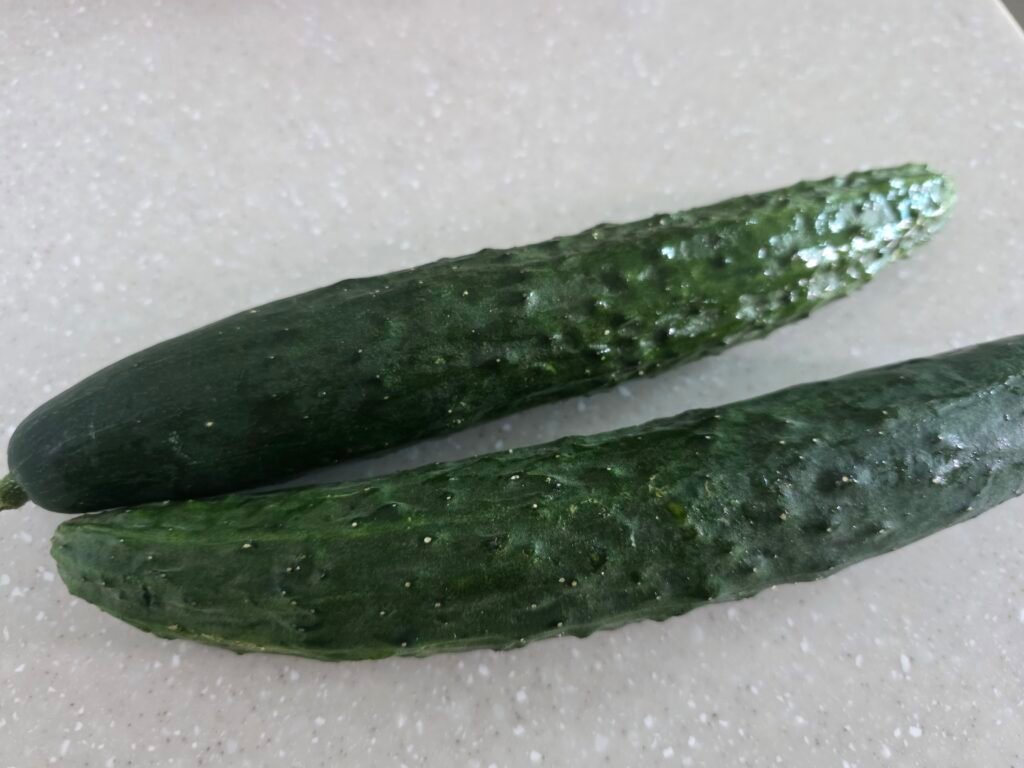 오이 효능부터 종류 보관법 오이의 모든 것_1