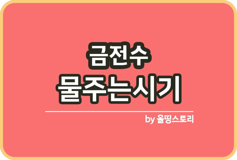 금전수 물주기 금전수분갈이 금전수키우는방법_썸네일