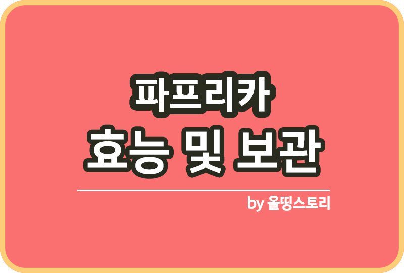 파프리카 특징 효능 보관방법까지 파프리카색 차이_썸네일
