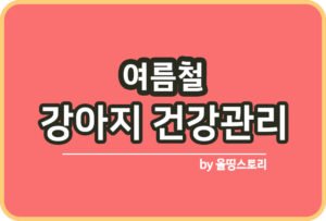 강아지슬개골 탈구 원인 치료방법 슬개골관리_썸네일