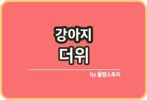 강아지 눈물자국 원인 눈물자국예방 관리방법_썸네일