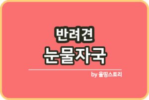강아지 콧물 원인 반려견콧물 대처방법_썸네일