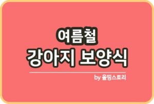 강아지 눈물자국 원인 눈물자국예방 관리방법_썸네일