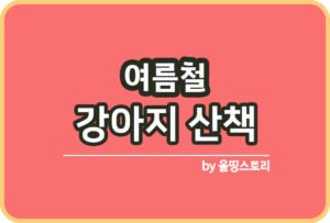 강아지 더위 증상 예방방법 반려견 더위대처방법_썸네일
