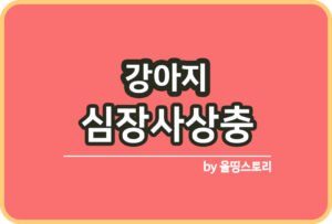 강아지슬개골 탈구 원인 치료방법 슬개골관리_썸네일