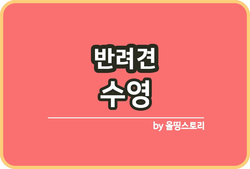 강아지 수영 장점 수영훈련 반려견수영_썸네일