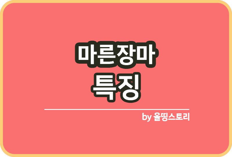 마른장마 특징 마른 장마 원인 집안습도관리_썸네일