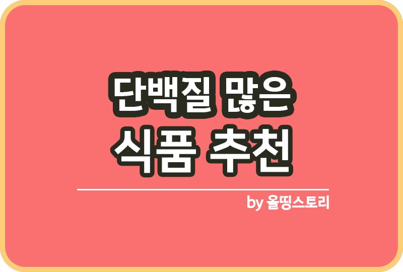 단백질 많은 식품추천 다이어트식품 추천_썸네일