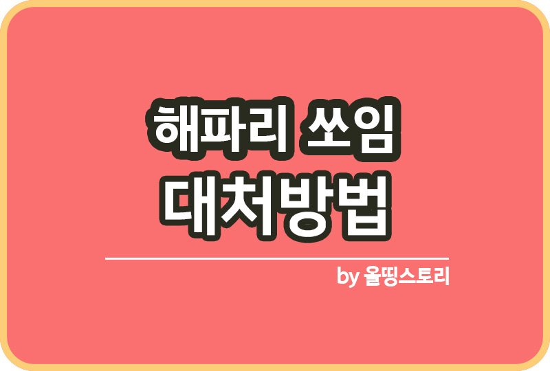 해파리 쏘임 증상 대처방법 바다해파리 주의할점_썸네일