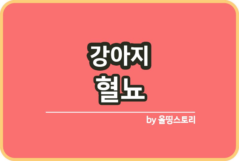 반려견 혈뇨 원인 강아지 혈뇨증상 대처방법_썸네일