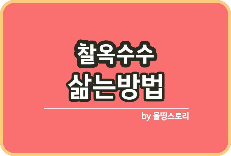 찰옥수수 삶는방법 옥수수 삶는시간 찰옥수수_썸네일