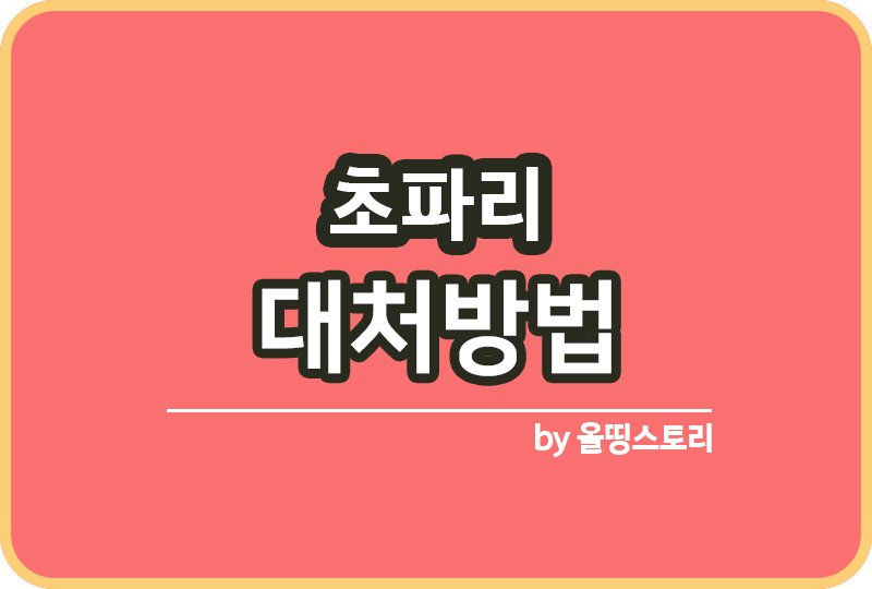 초파리 예방방법 집안초파리 대처방법 초파리원인_썸네일