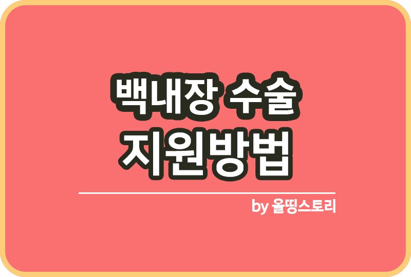 백내장수술 수술시기 백내장수술비지원 수술후 주의사항_썸네일