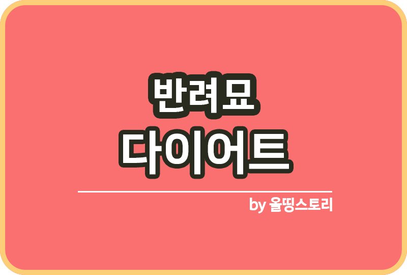 반려묘 다이어트 고양이비만 확인방법 고양이다이어트_썸네일