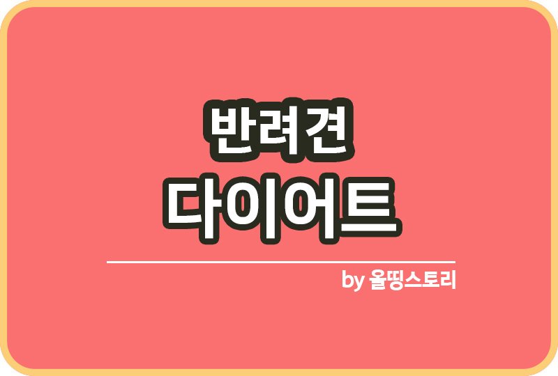 반려견 다이어트 강아지비만 확인방법 강아지다이어트_썸네일